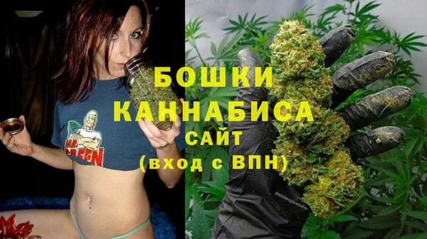 прущая мука Тында