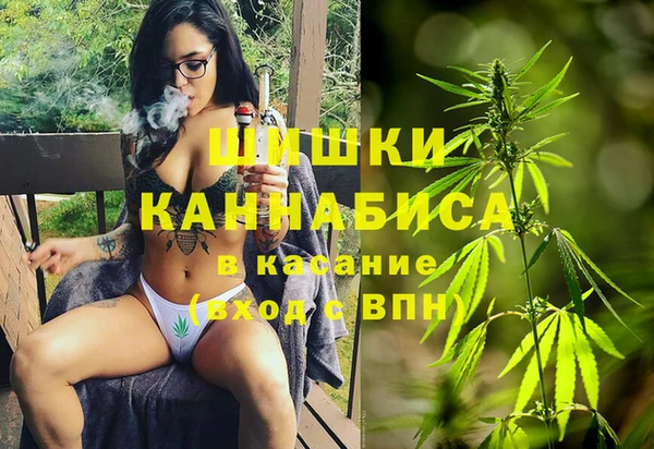 прущая мука Тында